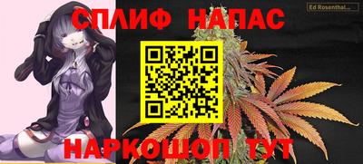 гидра Можга