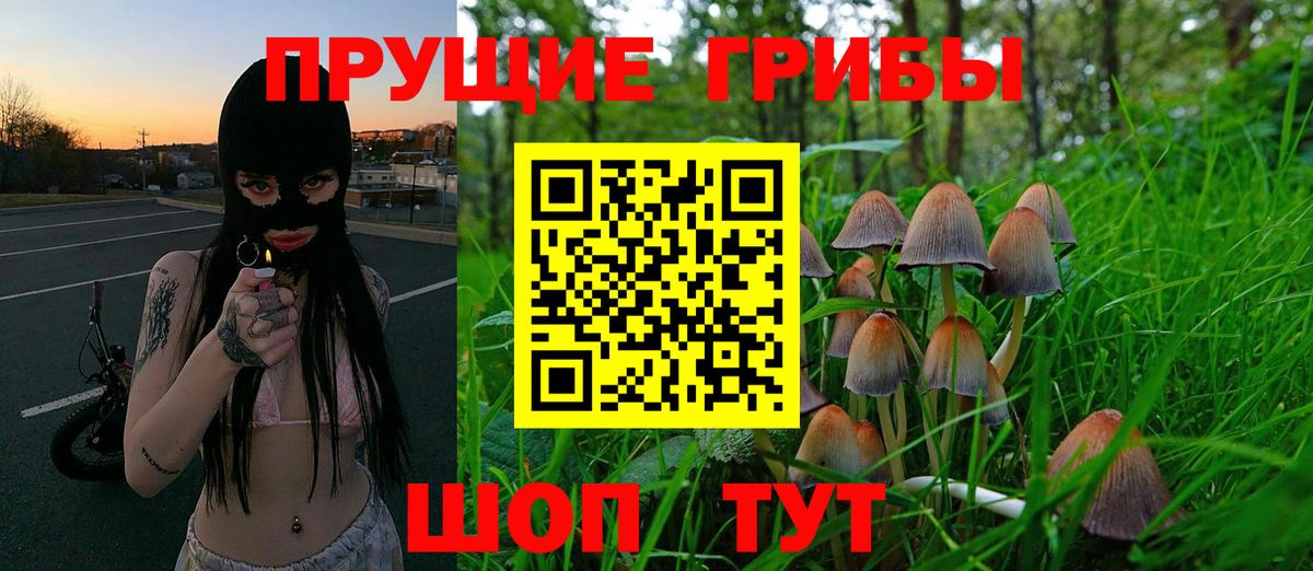Галлюциногенные грибы мухоморы Севастополь