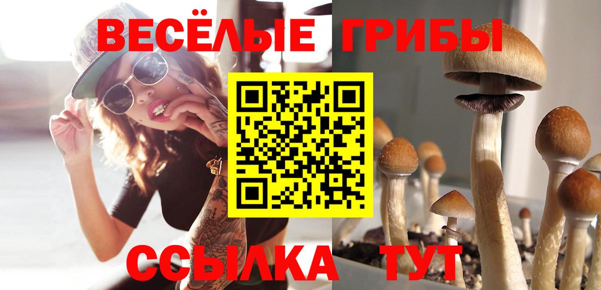 Галлюциногенные грибы мицелий  Вход с VPN  Галлюциногенные грибы GOLDEN TEACHER  Севастополь 